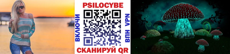 Купить закладки  Новошахтинск  Галлюциногенные грибы GOLDEN TEACHER 