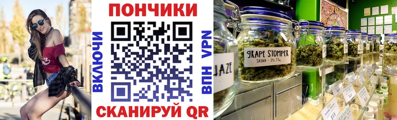 Бошки марихуана THC 21%  Купить где  Новошахтинск 